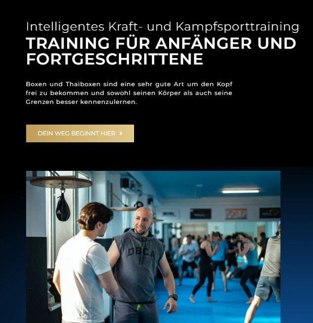 Nenad Paunovic Website